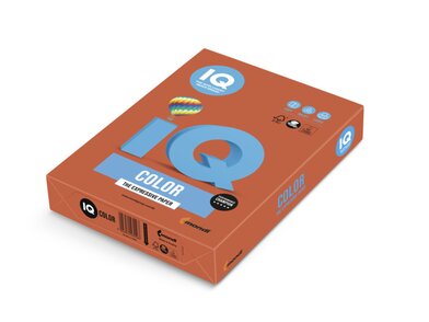 IQ COLOR ZR09 A4 ream