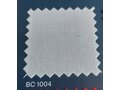BC1004