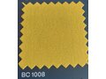 BC1008