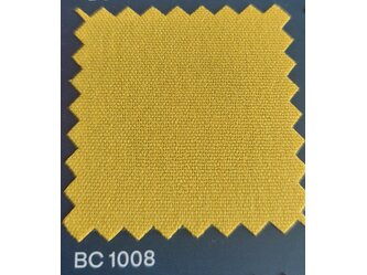 BC1008