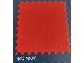 BC1007