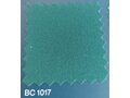 BC1017