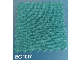 BC1017