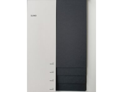 Sumo_4