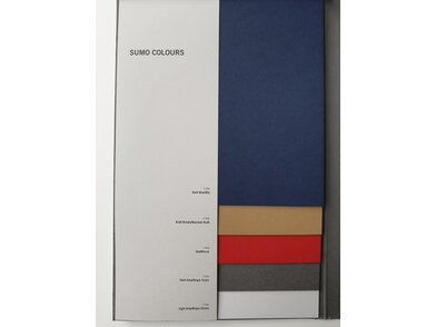 Sumo_2