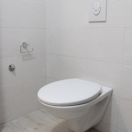 Sanitariaty_1