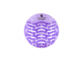 Advanced - Lavender Dream 1_ok