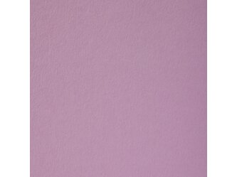 csr_orchid_90