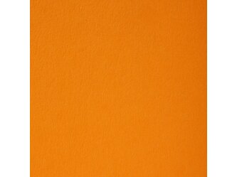 csr_mandarin_71