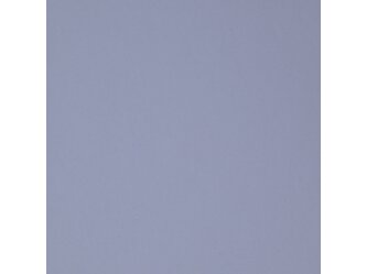 CSM21