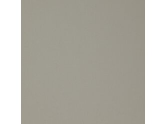 CSM51