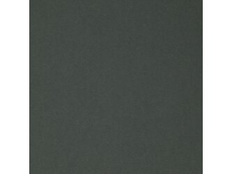 CSM69