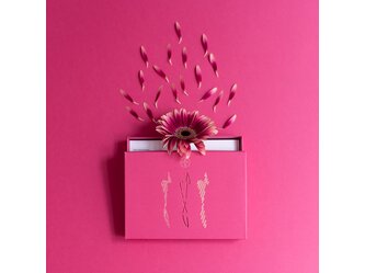 PER_Euphoric-Pink_A