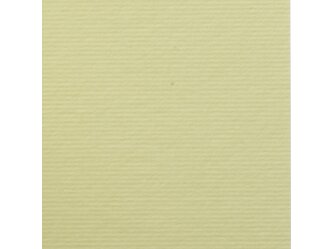 Twill Chamois